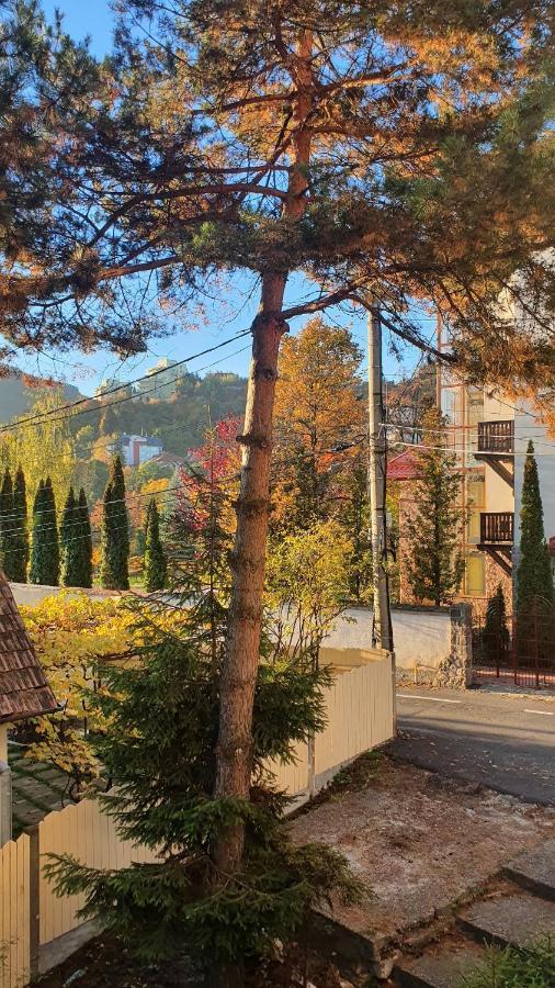 Central Luxury Apartment With City View Brașov Exterior foto