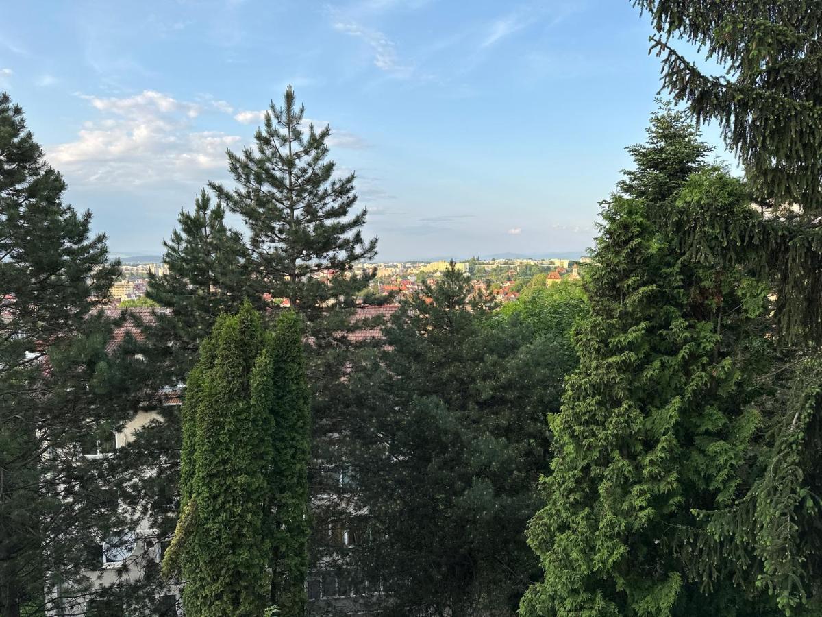 Central Luxury Apartment With City View Brașov Exterior foto